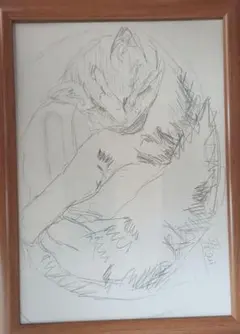 5冊セット 岩合光昭・猫姿白描画譜・にゃんとも猫だらけ・猫アート
