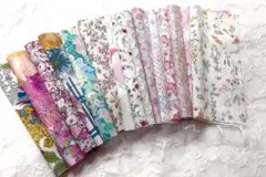 Item thumbnail for item e13676b6-21ee-4857-8078-1034b5731cbe