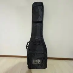 極美品・レインカバー付】iGiG G315B エレキベース用ギグバッグ ケース