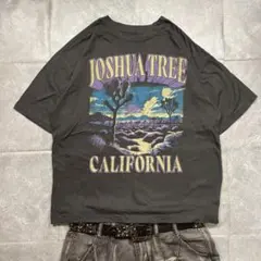 Y2K 00s archive グラフィックフェードUSATシャツ c-boy