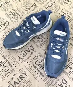 F3568 Reebok CLASSIC スニーカー サイズ28 水色
