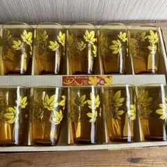 奥入瀬シリーズ　アンバーカラー　10客