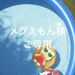 メグえもん様ご専用