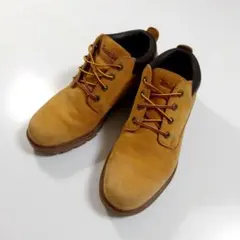 Item thumbnail for item fdc0c948-ab3e-41e9-9777-3e59f13aa987