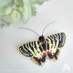 2026年最新】ギフチョウの人気アイテム - メルカリ