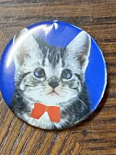 猫のイラスト缶バッジ