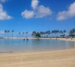 ワンダーヘブン様専用