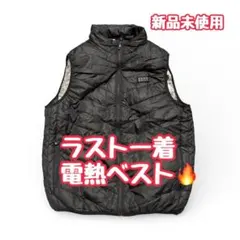 Item thumbnail for item 499d4e1e-1369-4926-853d-8edc03807706