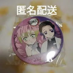 鬼滅の刃　ufotable　甘露寺蜜璃　胡蝶しのぶ　コンビ缶バッジ