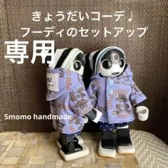 専用　フーディのセットアップ　ハンドメイド　ロボホンサイズ