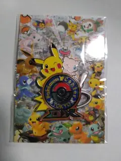 ポケモンセンタートウキョーDX　ロゴピンズ