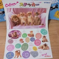 Calion ステッカーセット 猫の写真