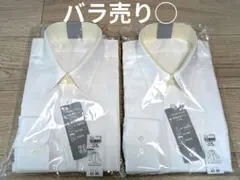 Item thumbnail for item 3902c925-261f-4808-86b2-00e9e69c00a3