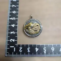 トップのみ】 CALEE キャリー スカルコイン ネックレス 真鍮 - メルカリ