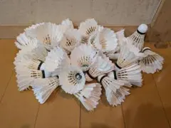 YONEX バドミントンシャトル 10ダースセット おしぼり様専用 - メルカリ