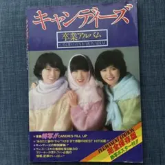 キャンディーズ　1978年　解散当時写真集・パンフレット　お宝セット キャンディーズ 1978年 解散当時写真集・パンフレット お宝