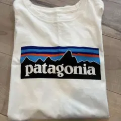 patagonia ロゴ Tシャツ ホワイトのサムネイル