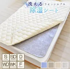 除湿シート　シングル　2枚
