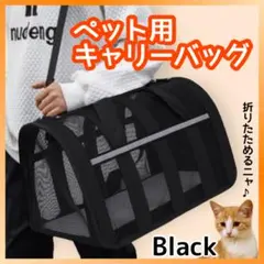 Item thumbnail for item 89787849-7884-4827-b165-d2a2fda95b49