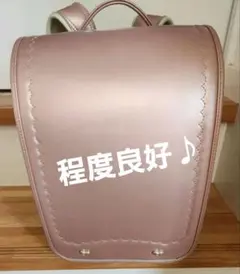 Item thumbnail for item 1ed29971-9e4d-4751-85be-282be0789499