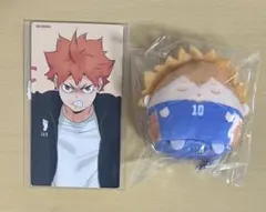 ハイキュー!!　ぬいくじ　くじメイト　ふわコロりん　てのりんず　日向翔陽 E賞