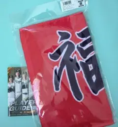 2025 森高千里コンサートツアー“あなたも私もファイト!!”』タオル