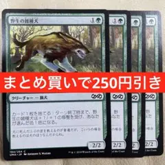 野生の雑種犬/Wild Mongrel 日本語 4枚 MTG - メルカリ