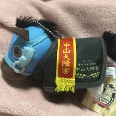 タグ付き アイドルホース オジュウチョウサン 中山グランドジャンプ