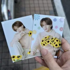 SUNFLOWER 中島颯太 フォトカ セット