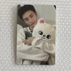 ヒョンジン スキズ SKZOO PHOTOCARD TINCASE トレカのみ
