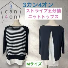 3カン4オン/ストライプ五分袖ニットトップス