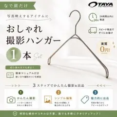 【数量限定】TAYA なで肩ハンガー パールニッケル おしゃれ 撮影専用 1本
