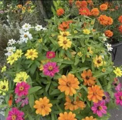 boo様 リクエスト 3点 まとめ商品