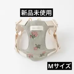 Item thumbnail for item e43eab22-d69b-4d14-8eb0-d83612e62a4f