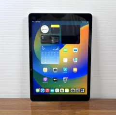 Apple iPad 10.2インチ 第9世代 64GB 100%