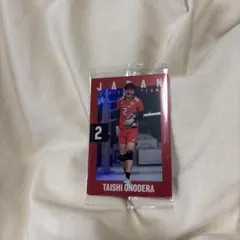 男子日本代表バレーボールカード 　ウエハース　ノーマル　小野寺太志