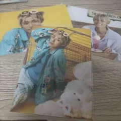 ぴーちゃん様専用