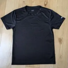 プーマTシャツサイズМ