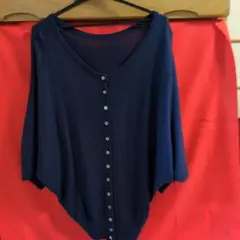 Item thumbnail for item 45369882-c2de-4670-a795-3e69292cfa3c