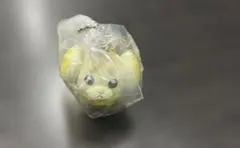 ポケモン ガチャガチャ キャラクターグッズ