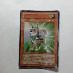 遊戯王 柴戦士タロ