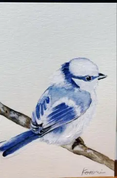 アオガラの水彩画 鳥 ポストカード 一点物　原画