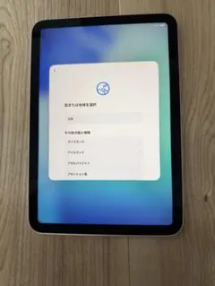 iPad Pro 2018 11インチ セルラー デモ機 - メルカリ