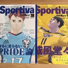ハイキュー sportiva 小説 特典 及川 牛島