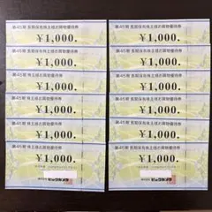 ビックカメラ 株主優待券 12枚セット