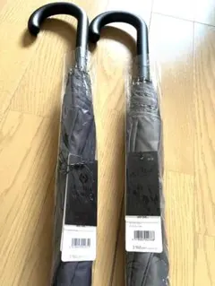 富山サンダー　ウォーターフロント　晴雨兼用のサムネイル