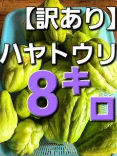 2025年最新】ハヤトウリの人気アイテム - メルカリ