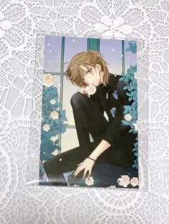 叶 ノスタルジアコレクション