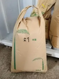 保冷庫保管】R7年度 栃木県高根沢町産 コシヒカリ 玄米30kg 送料無料 