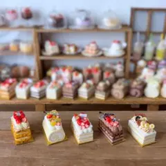 ケーキ5種③ ミニチュアスイーツ